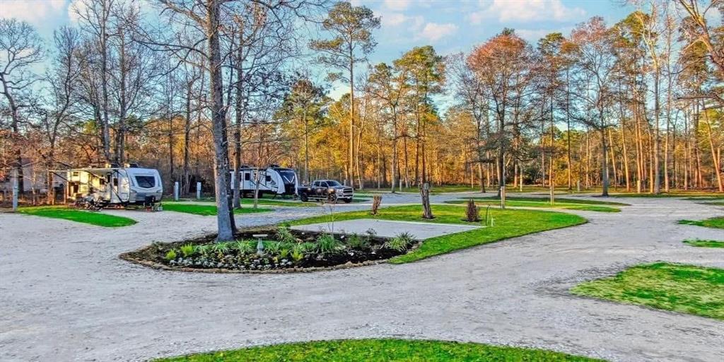 206 Hall Drive, Montgomery, Texas image 1