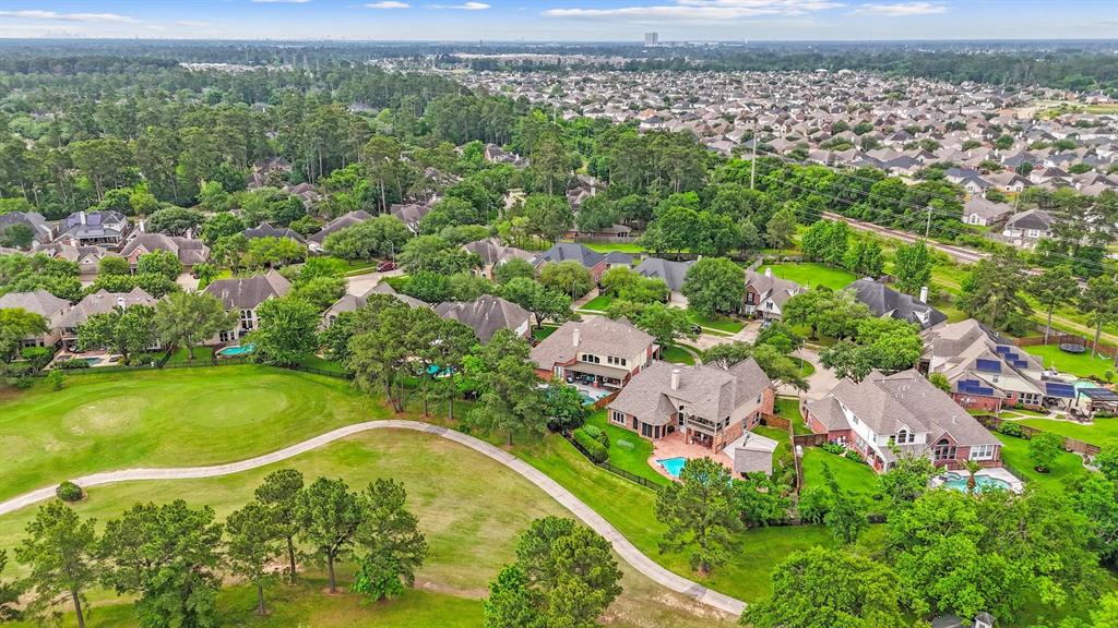 9914 Kershope Forest Court, Spring, Texas image 3