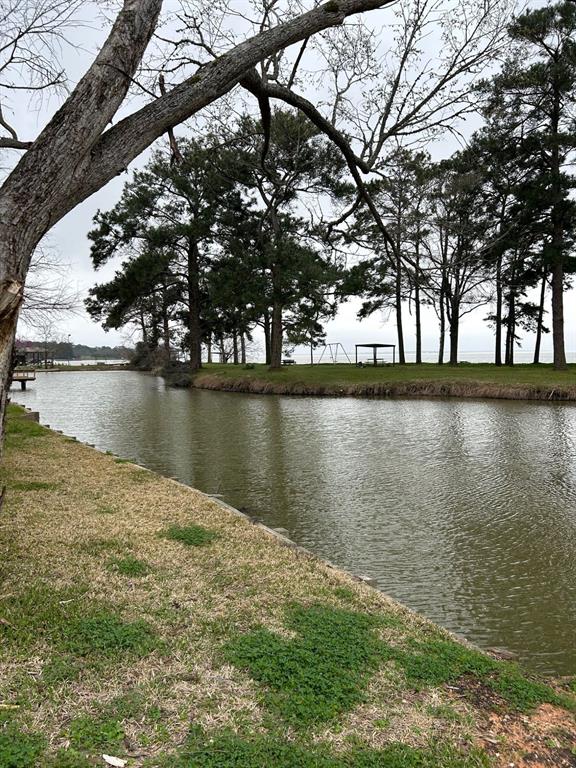 568 Impala Drive, Onalaska, Texas image 10