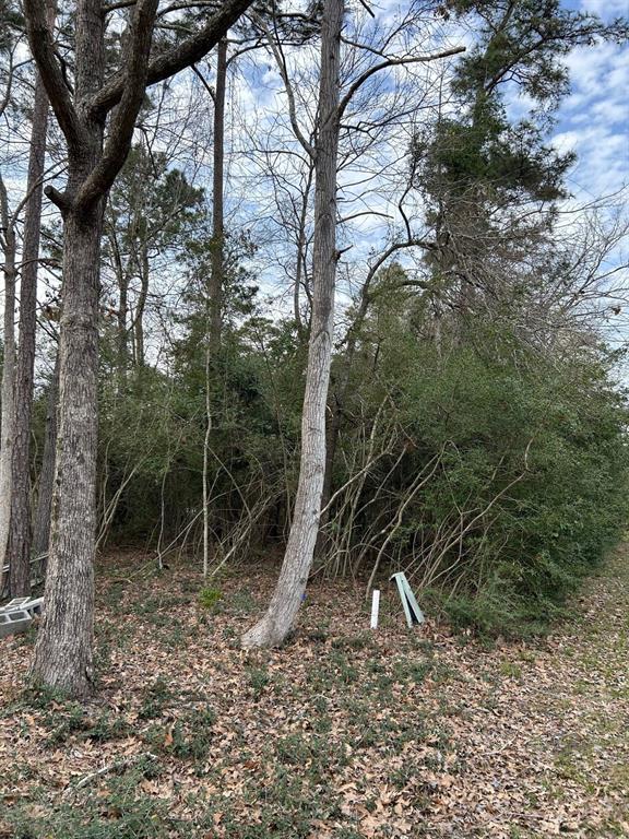 568 Impala Drive, Onalaska, Texas image 7
