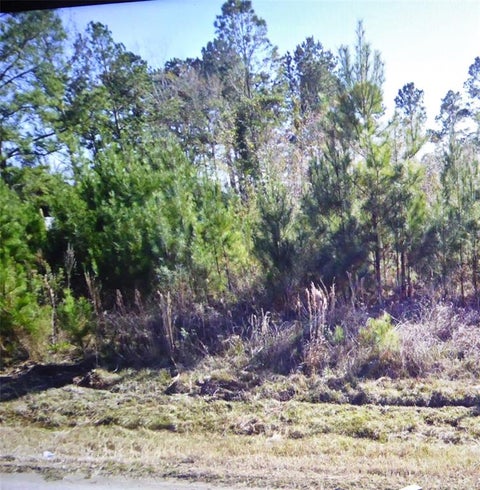 Vacant Land For Sale - 50 County Road 3479a<br/> Liberty County, Cleveland, TX 77327