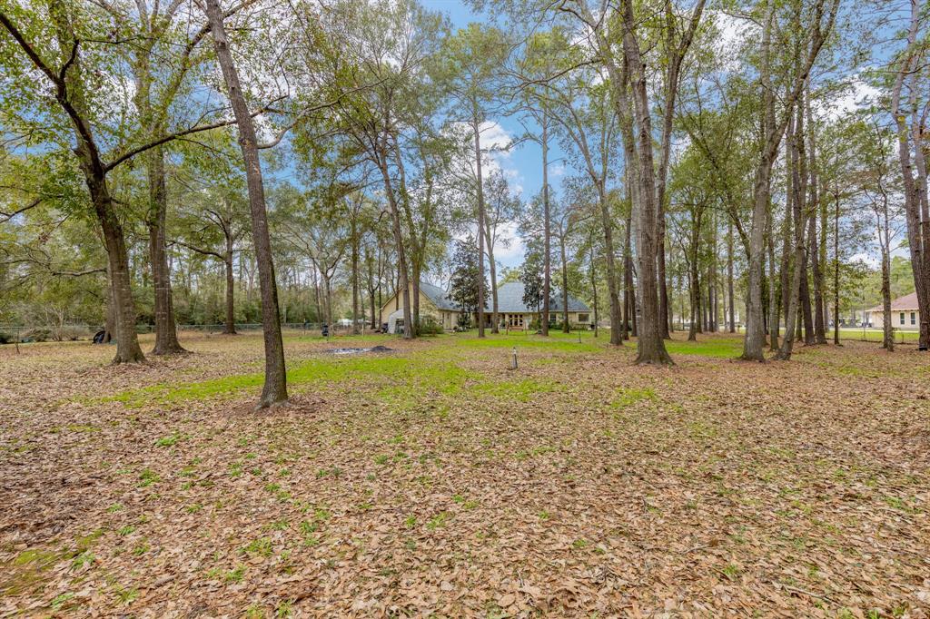 19518 Riverwalk Drive, Porter, Texas image 34