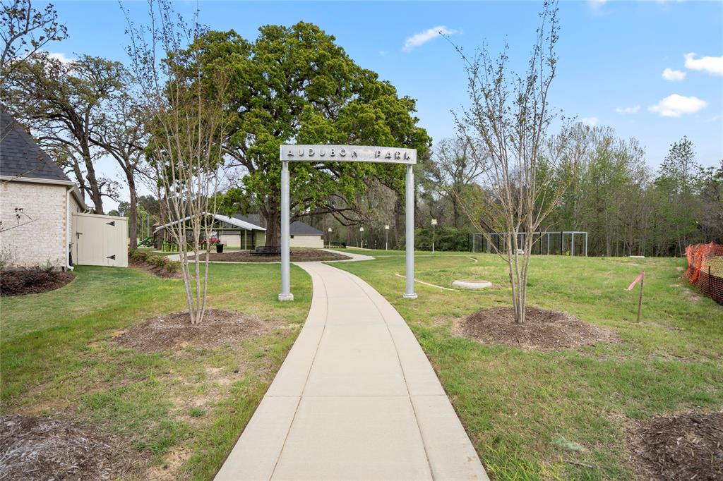 15122 Bank Swallow Place, Magnolia, Texas image 15