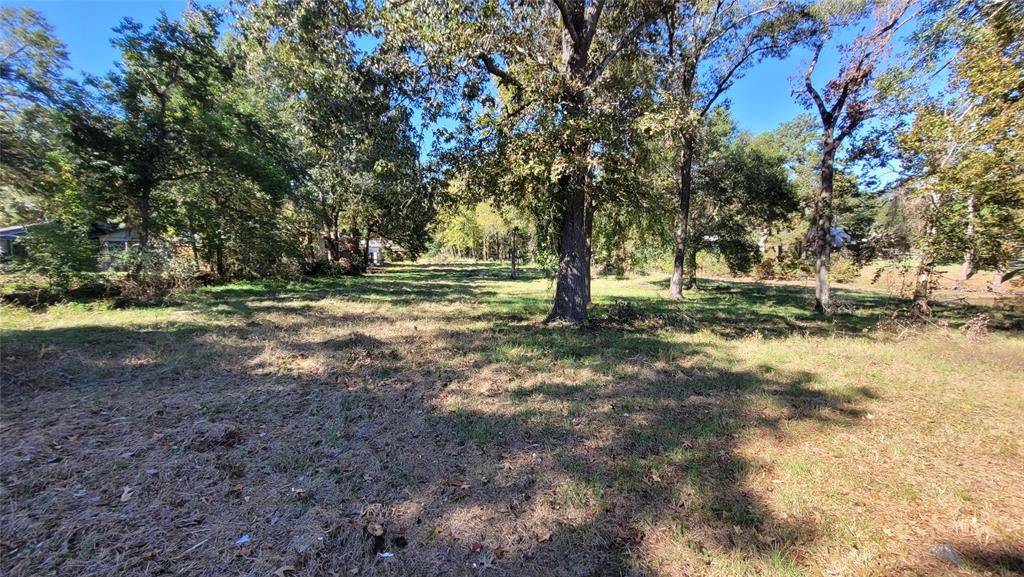 121 Prescott Drive, Onalaska, Texas image 23