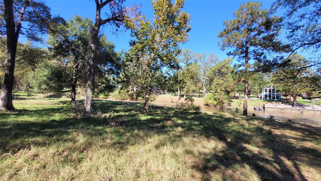 121 Prescott Drive, Onalaska, Texas image 27