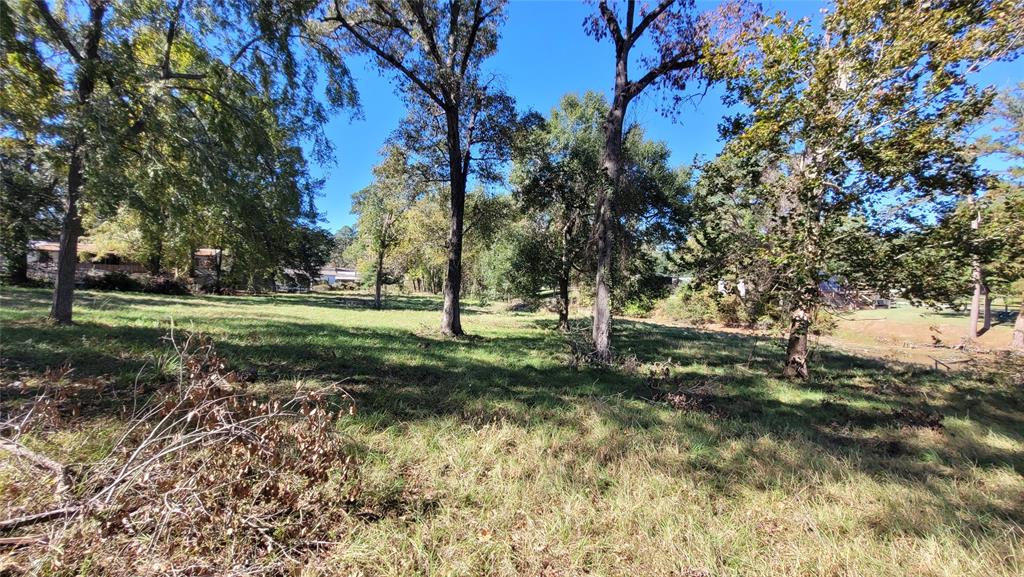 121 Prescott Drive, Onalaska, Texas image 26