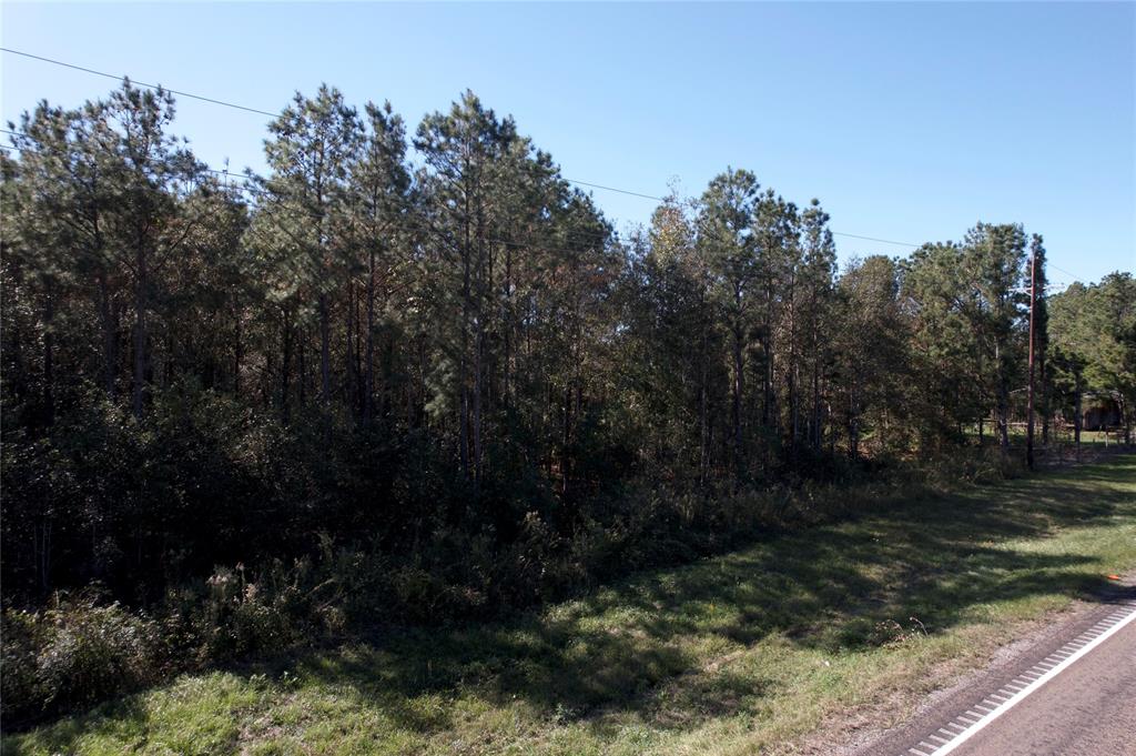 Fm 562, Anahuac, Texas image 14