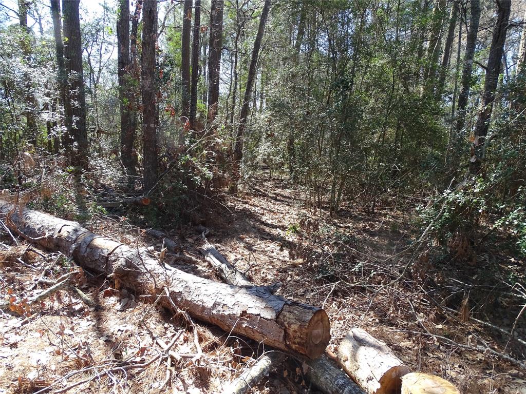 TBD Yellowstone River Rd, Conroe, Texas image 7