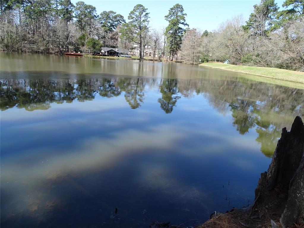 TBD Yellowstone River Rd, Conroe, Texas image 3