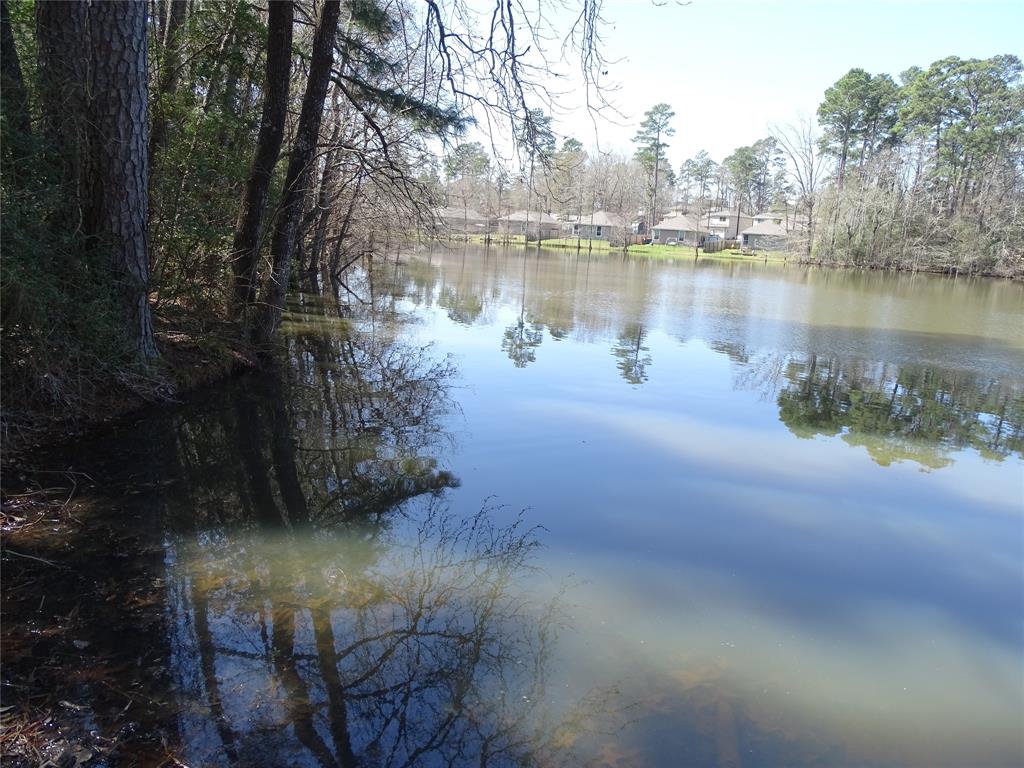TBD Yellowstone River Rd, Conroe, Texas image 5