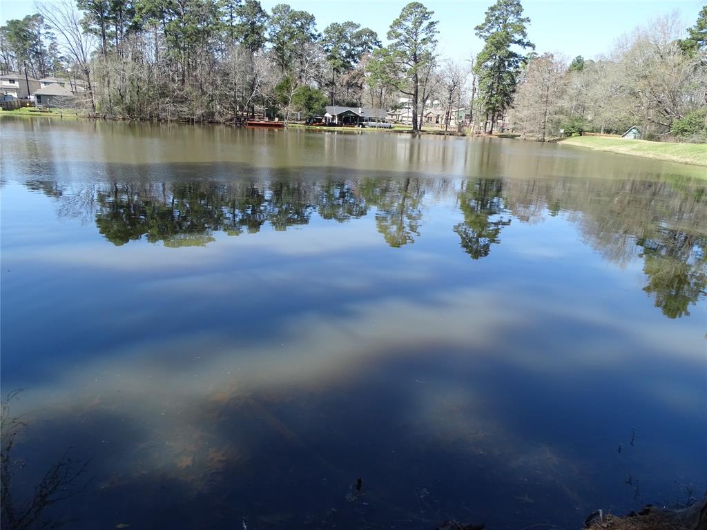TBD Yellowstone River Rd, Conroe, Texas image 4