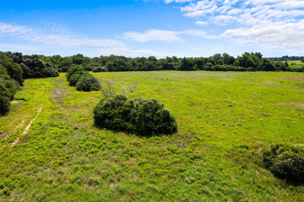 2874 Old Boone Prairie Road, Franklin, Texas image 9
