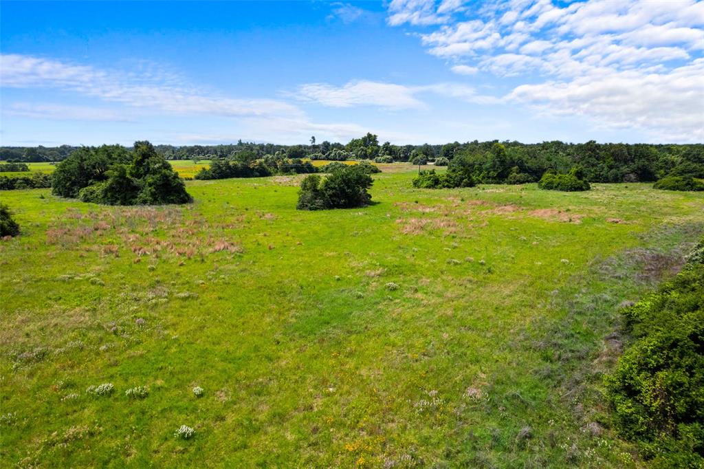 2874 Old Boone Prairie Road, Franklin, Texas image 5