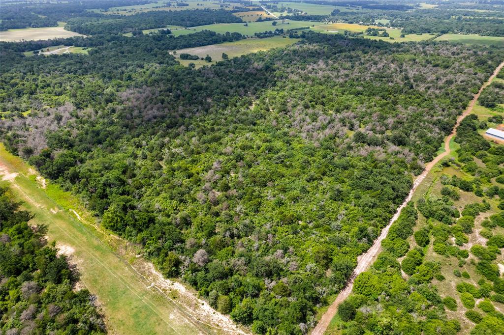 2874 Old Boone Prairie Road, Franklin, Texas image 3