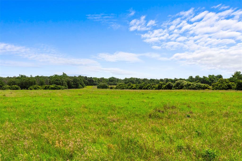 2874 Old Boone Prairie Road, Franklin, Texas image 7