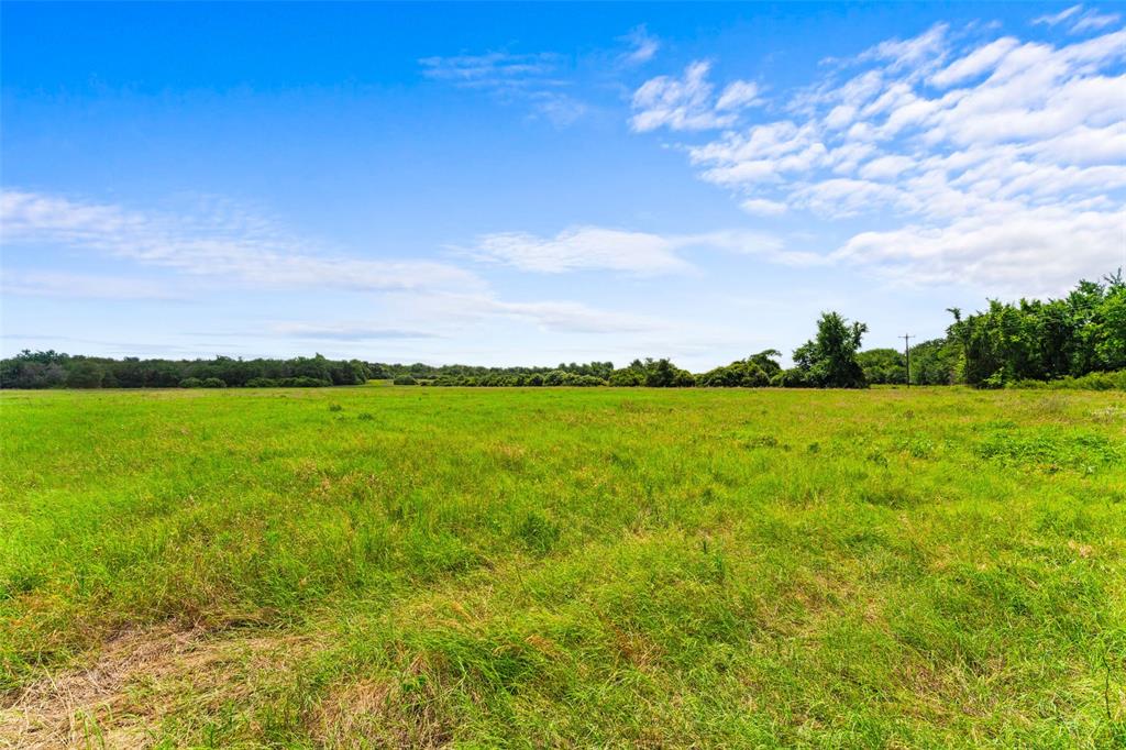 2874 Old Boone Prairie Road, Franklin, Texas image 8