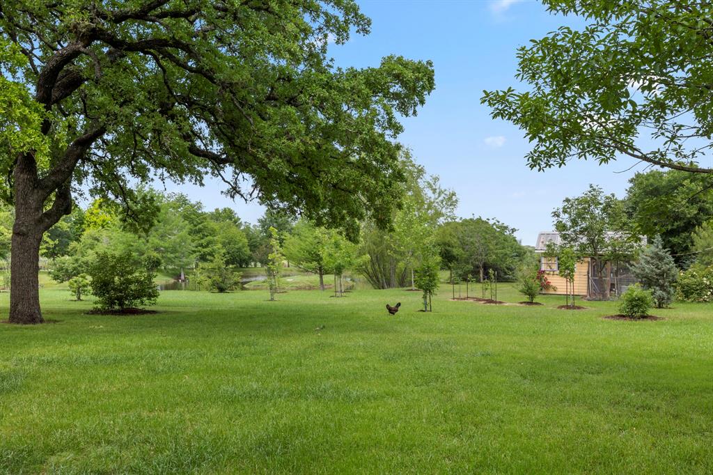 3100 Trails End Lane, Brenham, Texas image 11