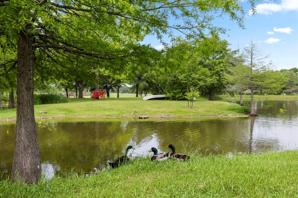 3100 Trails End Lane, Brenham, Texas image 37