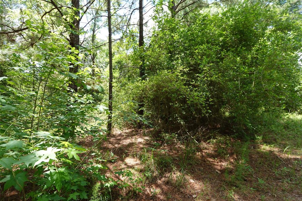 TBD Road 2732, Cleveland, Texas image 1