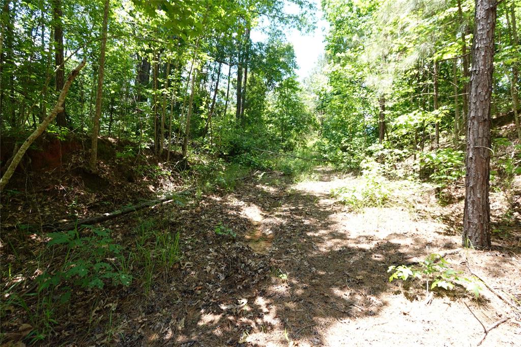 TBD Road 2732, Cleveland, Texas image 3