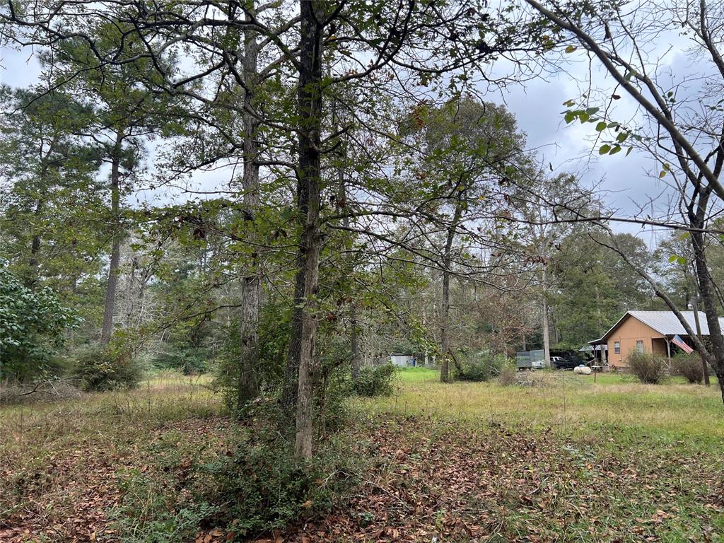 161 Jordan Drive, Livingston, Texas image 19