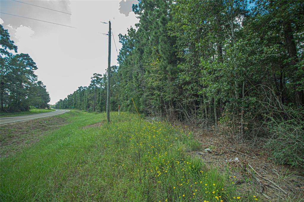 TBD FM 2610 Fm 2610, Livingston, Texas image 3