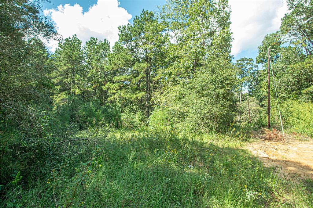 TBD FM 2610 Fm 2610, Livingston, Texas image 8