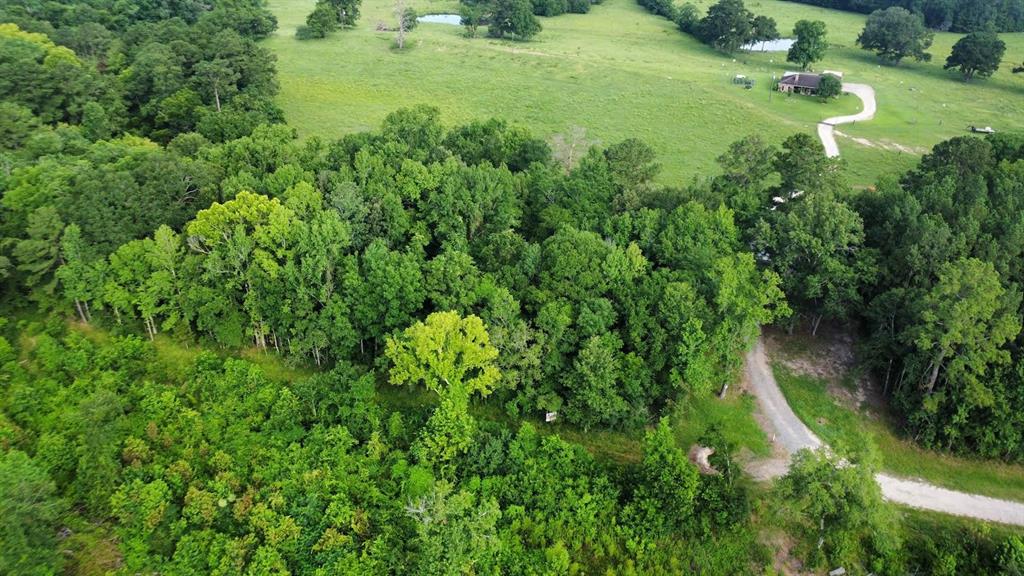 TBD State Highway Loop 116, Livingston, Texas image 2