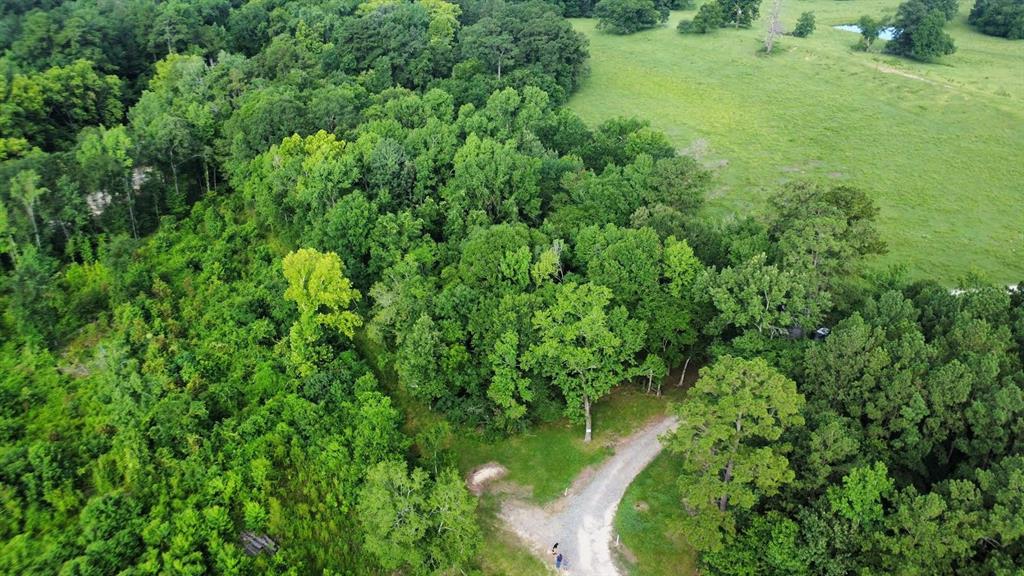 TBD State Highway Loop 116, Livingston, Texas image 7