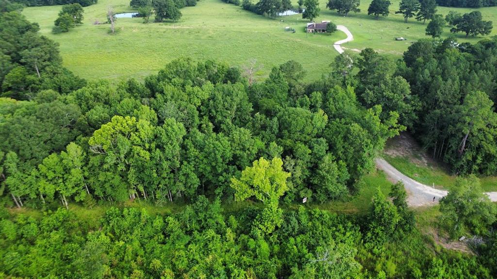 TBD State Highway Loop 116, Livingston, Texas image 3