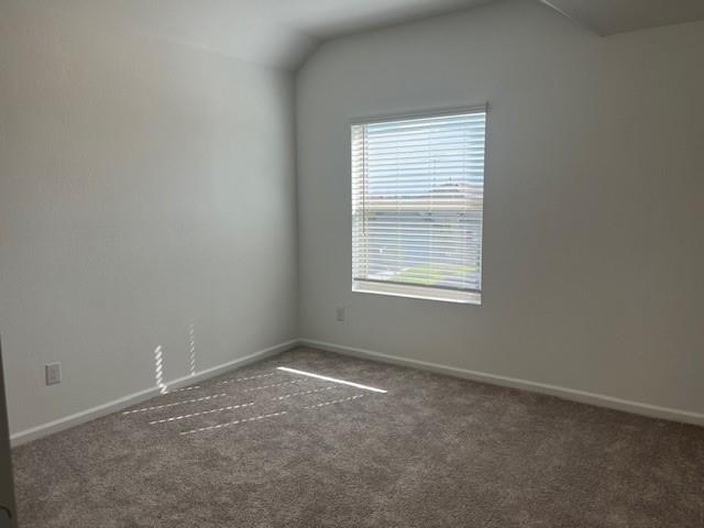 2419 Indian Jade Drive, Rosharon, Texas image 10