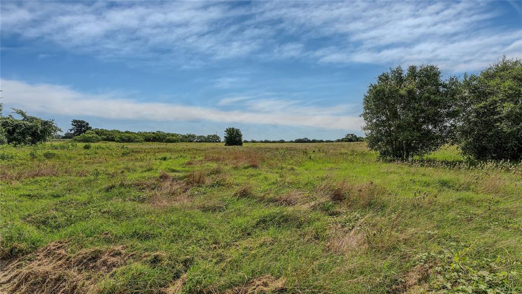 10843 Us Highway 90, Harwood, Texas image 24