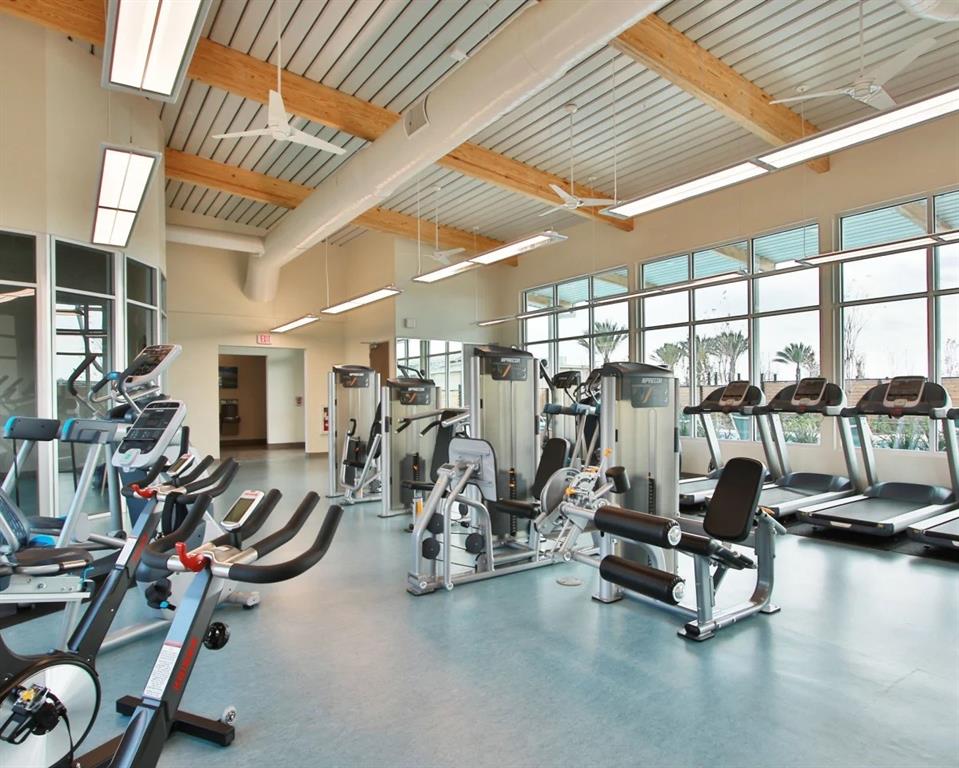8914 Red Wolf Place, Manvel, Texas image 5