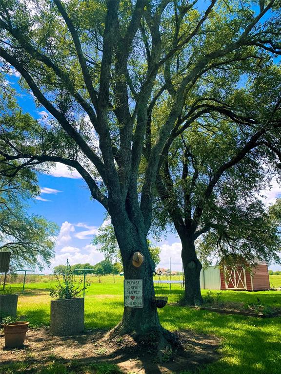 3119 Cr 289, East Bernard, Texas image 3