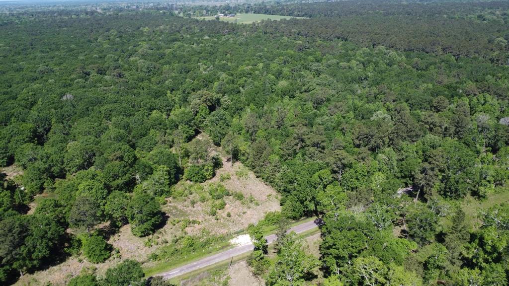 TBD County Road 2060, Hull, Texas image 3