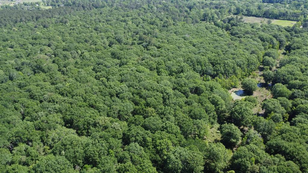 TBD County Road 2060, Hull, Texas image 6