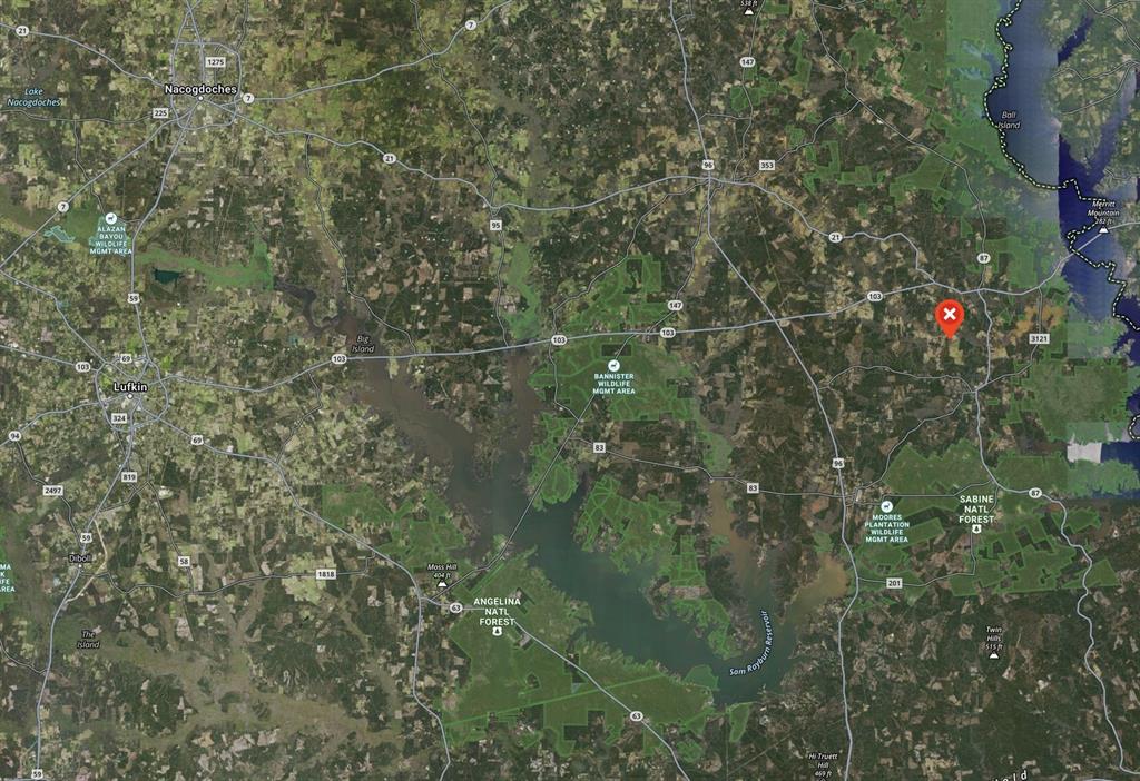 TBD Dorsey Road, Hemphill, Texas image 23