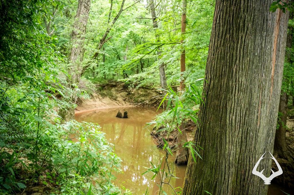 TBD Dorsey Road, Hemphill, Texas image 31