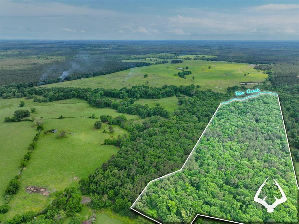 TBD Dorsey Road, Hemphill, Texas image 2