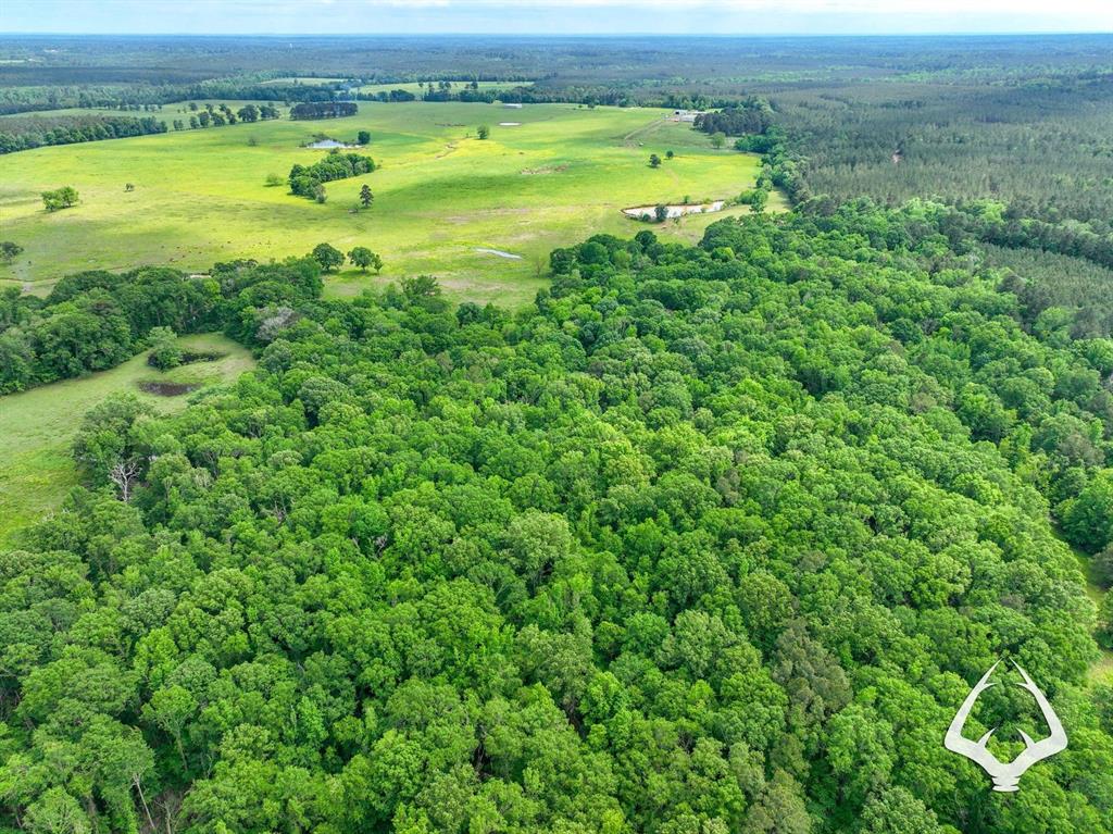 TBD Dorsey Road, Hemphill, Texas image 43