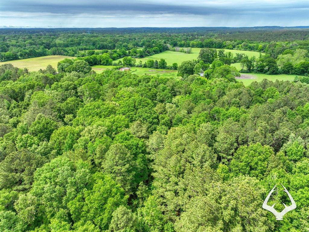TBD Dorsey Road, Hemphill, Texas image 30