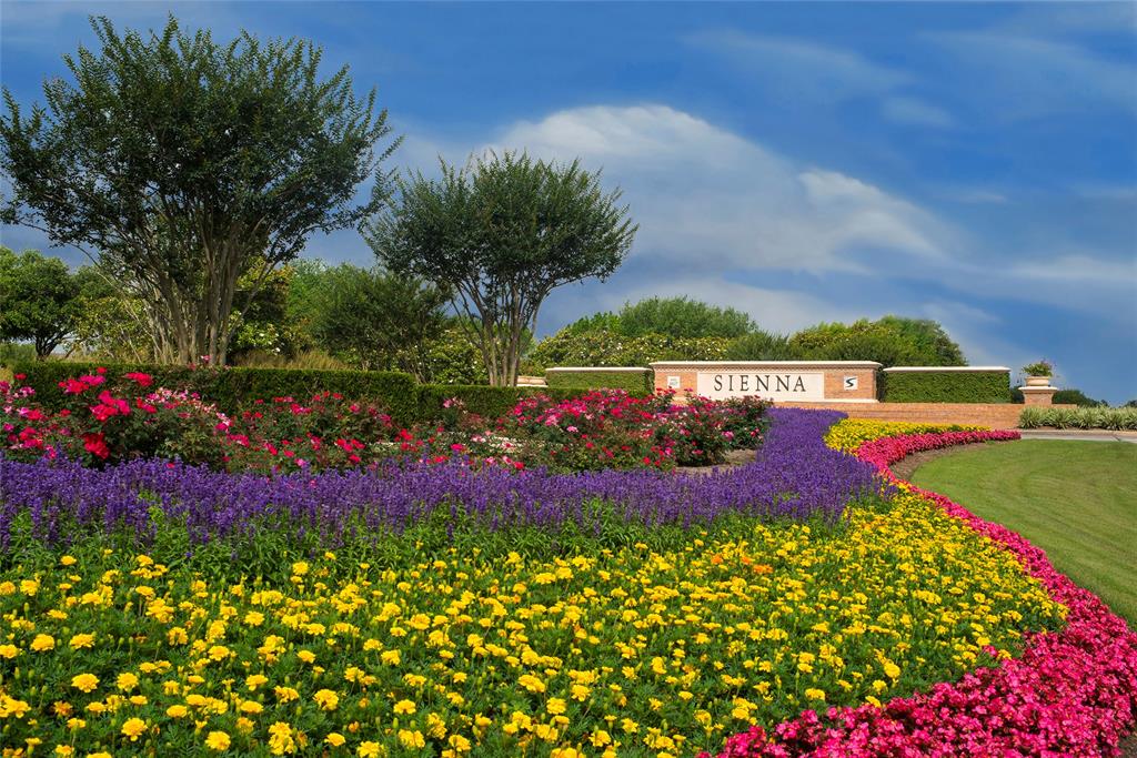 10910 Crescent Spring Drive, Missouri City, Texas image 18