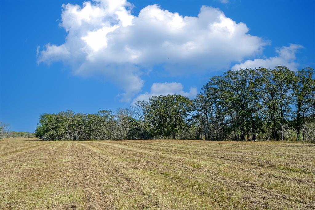 Lot 5 County Rd 229, Bedias, Texas image 3