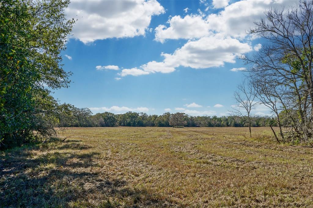 Lot 5 County Rd 229, Bedias, Texas image 9