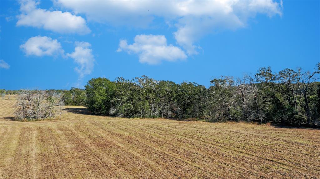 Lot 5 County Rd 229, Bedias, Texas image 2