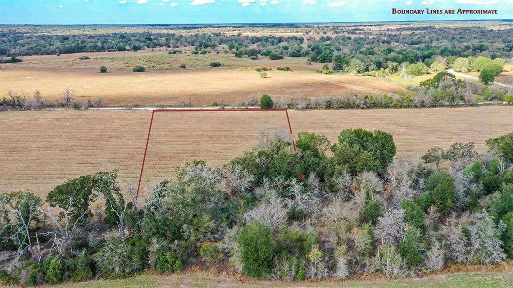 Lot 5 County Rd 229, Bedias, Texas image 7