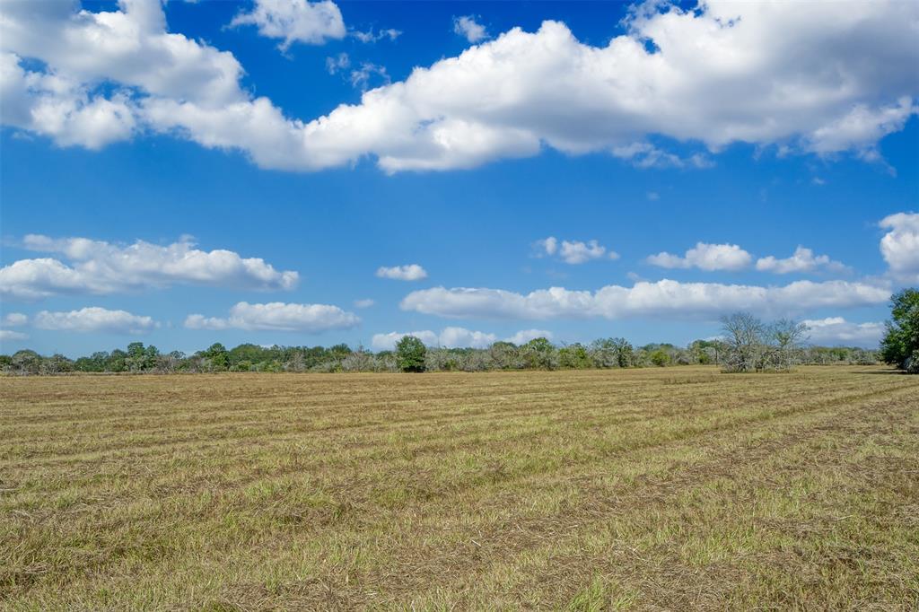 Lot 5 County Rd 229, Bedias, Texas image 4