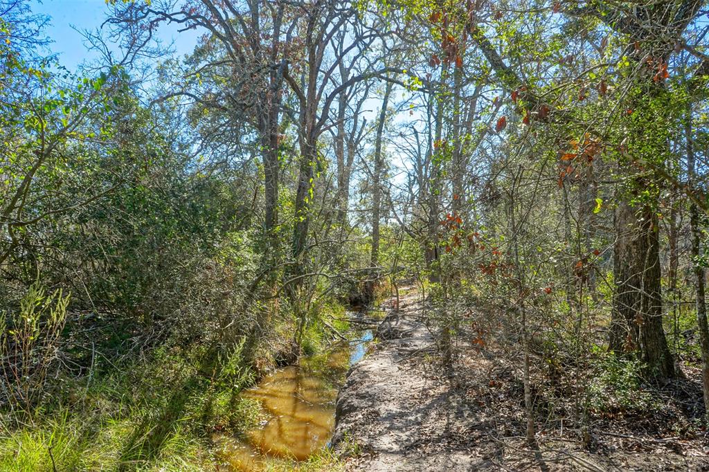 Lot 5 County Rd 229, Bedias, Texas image 5