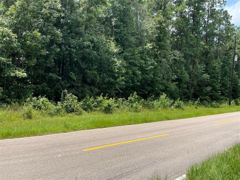 Photo of 25420 Cambridge Boulevard, New Caney, TX 77357 (MLS # 66034601)