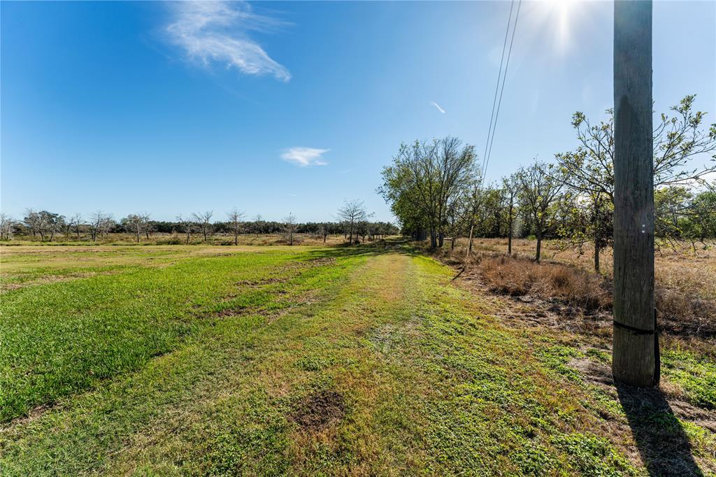 Tract 4 Fm 1462 Road, Damon, Texas image 17